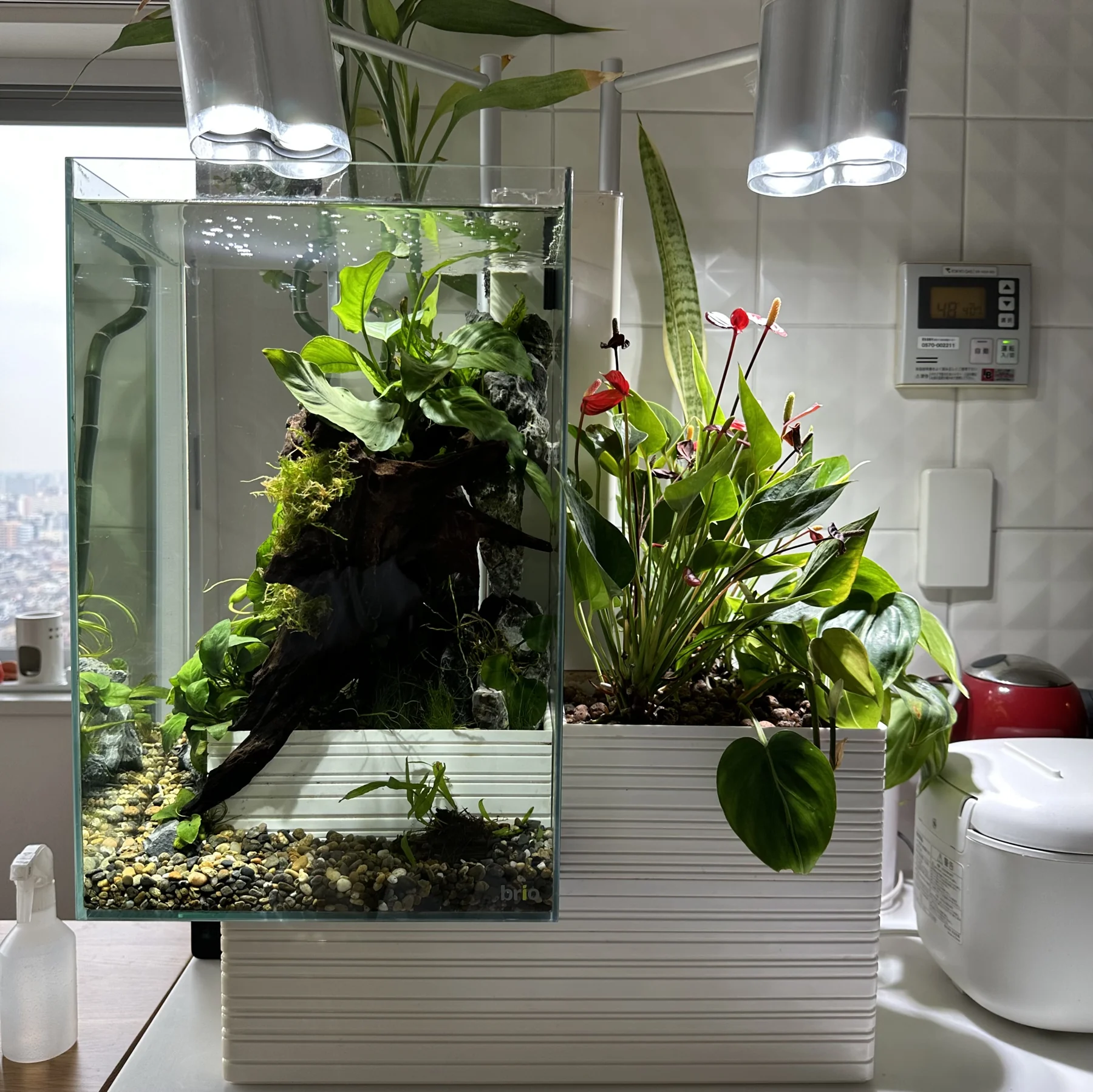 An aquarium beside a planter with green leaves and red flowers